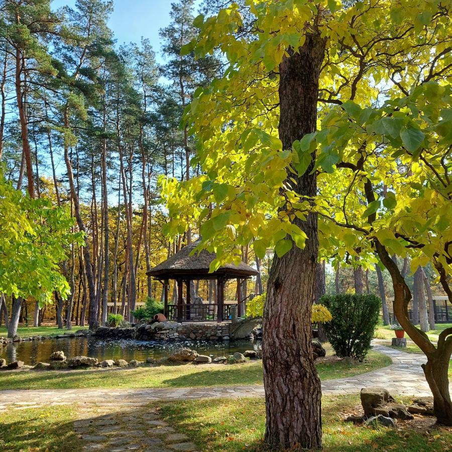 Kohavi Forest Club Orlovshchina Εξωτερικό φωτογραφία